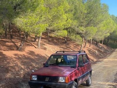 usata Fiat Panda 4x4 1100 i.e. cat 4x4 Trekking