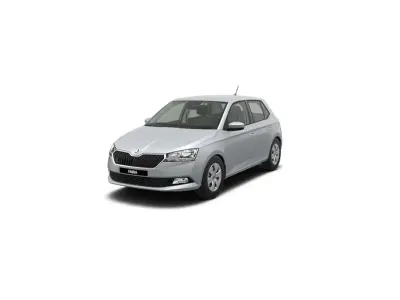 Usata Skoda Fabia
