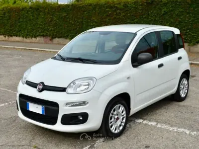 Usata Fiat Panda Easy 69 CV (50 kW) 2019 Bianco Utilitaria