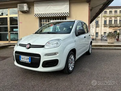 Usata Fiat Panda Easy 69 CV (50 kW) 2019 Bianco Utilitaria