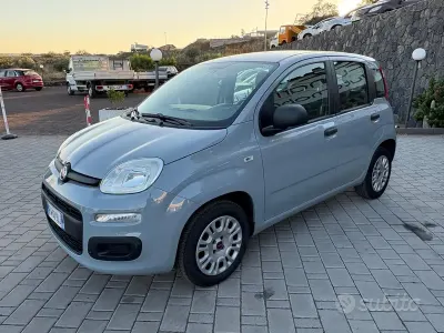 Usata Fiat Panda Easy 69 CV (50 kW) 2019 Grigio Utilitaria