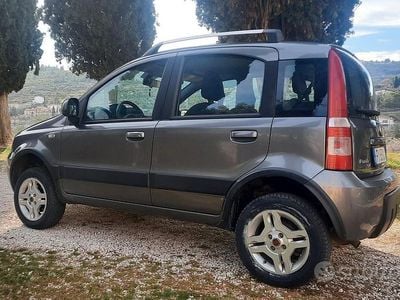 Usata Fiat Panda 4x4 69 CV (50 kW) 2012 Grigio Utilitaria