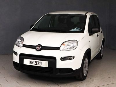 usata Fiat Panda 1.0 HYBRID 70CV CITY LIFE