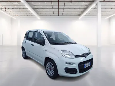 Usata Fiat Panda S 69 CV (50 kW) 2021 Colore bianco Utilitaria