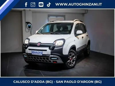 Usata Fiat Panda 4x4 86 CV (63 kW) 2016 Bianco Utilitaria