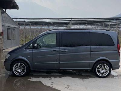 Mercedes Viano