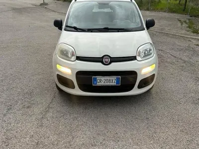Usata Fiat Panda Easy 69 CV (50 kW) 2013 Bianco Utilitaria