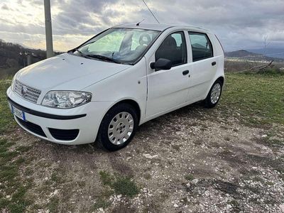 Usata Fiat Punto Active 69 CV (50 kW) 2010 Bianco Utilitaria