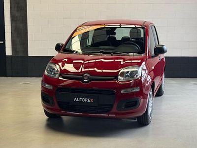 Nuova Fiat Panda S 69 CV (50 kW) 2025 Rosso Utilitaria