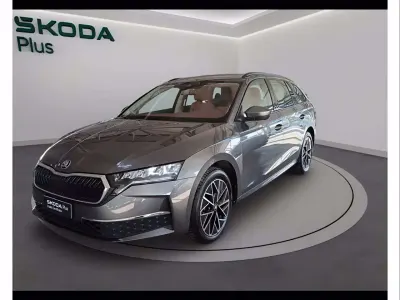 Usata Skoda Octavia Executive 150 CV (110 kW) 2025 Grigio graphite metallizzato Station wagon