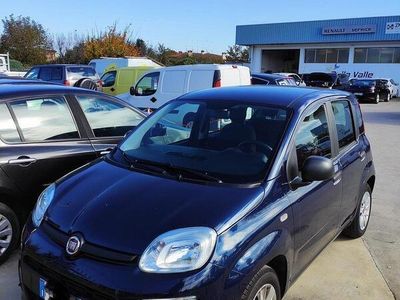 usata Fiat Panda Panda 1.2 Easy