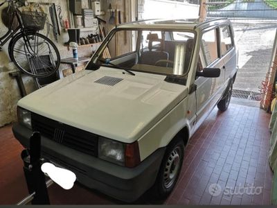 usata Fiat Panda 1100 i.e. cat Young