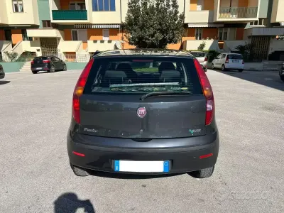 Usata Fiat Punto 60 CV (44 kW) 2010 Grigio Utilitaria