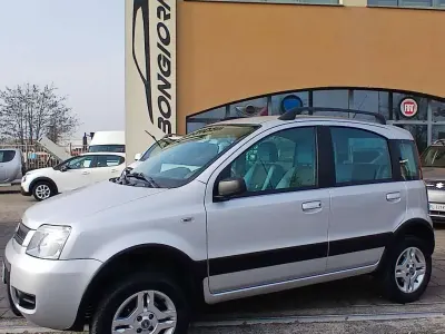 Usata Fiat Panda 4x4 Climbing 69 CV (50 kW) 2007 Vernice metallizzata Utilitaria