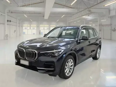 Usata BMW X5