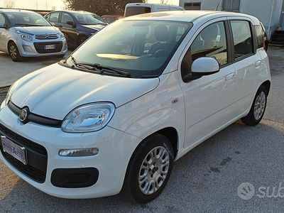 Usata Fiat Panda Easy 69 CV (50 kW) 2017 Bianco Utilitaria