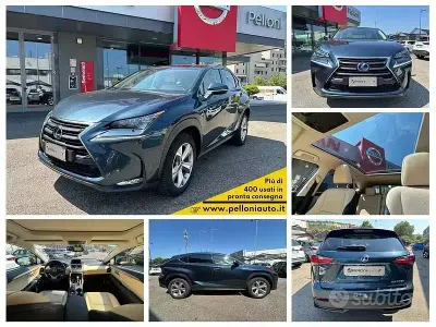 Usata Lexus NX300h Sport Line 155 CV (114 kW) 2015 Verde SUV