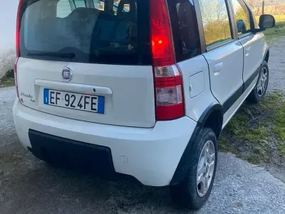 Usata Fiat Panda 4x4 69 CV (50 kW) 2011 Bianco Utilitaria