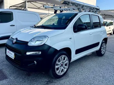 Usata Fiat Panda 4x4 Climbing 75 CV (55 kW) 2014 Bianco Utilitaria