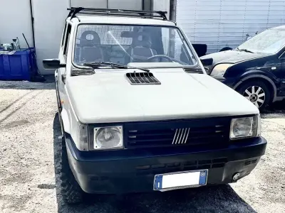 Usata Fiat Panda 4x4