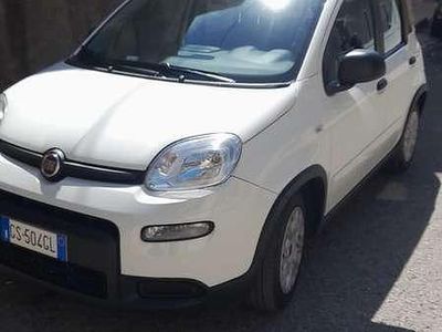 Usata Fiat Panda S 69 CV (50 kW) 2023 Bianco Utilitaria