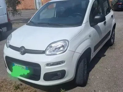 Usata Fiat Panda 4x4 85 CV (62 kW) 2019 Bianco Utilitaria