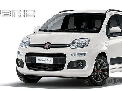 Usata Fiat Panda 2024 Bianco Utilitaria