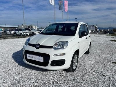 Usata Fiat Panda Easy 69 CV (50 kW) 2020 Bianco Berlina