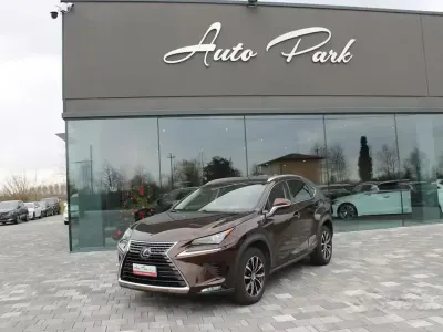Usata Lexus NX300h