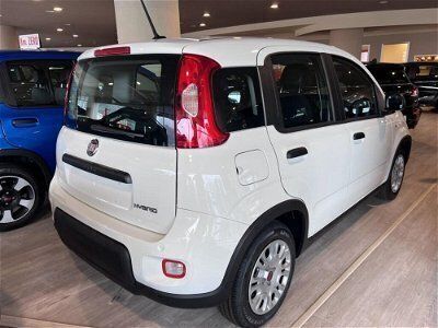 Fiat Panda Cross