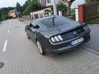 Usata Ford Mustang Fastback 317 CV (233 kW) 2017 Coupé