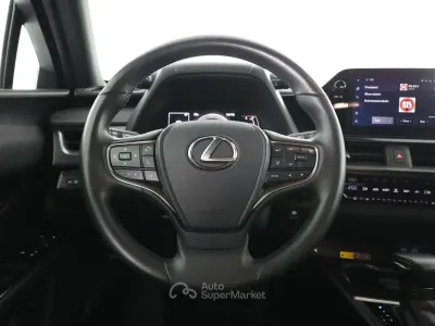 Usata Lexus UX 152 CV (111 kW) 2024 Gray SUV
