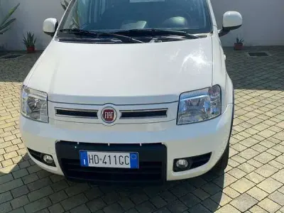 Usata Fiat Panda 4x4 Climbing 69 CV (50 kW) 2012 Bianco Utilitaria