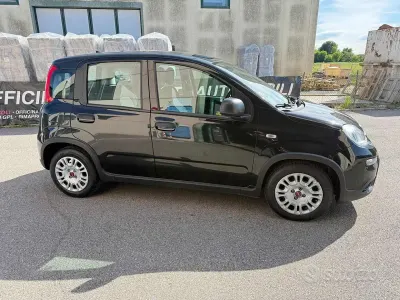 Usata Fiat Panda S 69 CV (50 kW) 2023 Nero Utilitaria