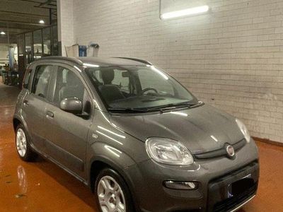 Usata Fiat Panda City Life 69 CV (50 kW) 2022 Grigio Berlina