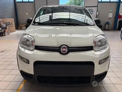 Usata Fiat Panda S 69 CV (50 kW) 2023 Bianco Utilitaria