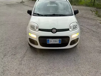 Usata Fiat Panda Easy 69 CV (50 kW) 2013 Bianco Utilitaria