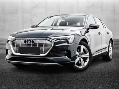 Usata Audi e-tron Business 158 kW (215 CV) 2023 Grigio SUV