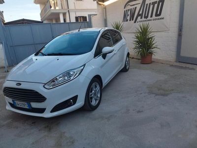 usata Ford Fiesta 1.5 TDCi 75CV 5 porte Titanium