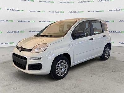Nuova Fiat Panda Icon 69 CV (50 kW) 2025 Bianco Utilitaria
