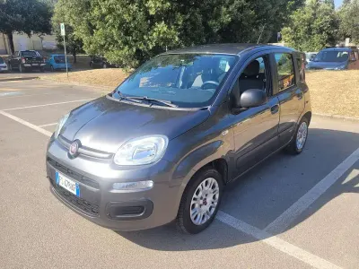 Usata Fiat Panda Easy 69 CV (50 kW) 2018 Grigio Utilitaria