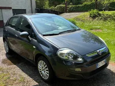 Usata Fiat Punto Evo Active 77 CV (56 kW) 2011 Utilitaria