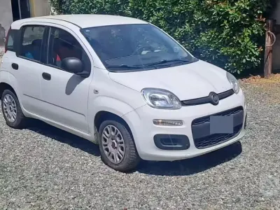 Usata Fiat Panda 95 CV (69 kW) 2016 Bianco Utilitaria