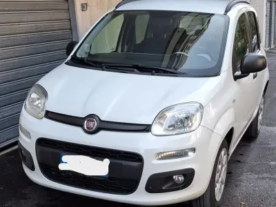 Usata Fiat Panda 2015 Bianco Utilitaria