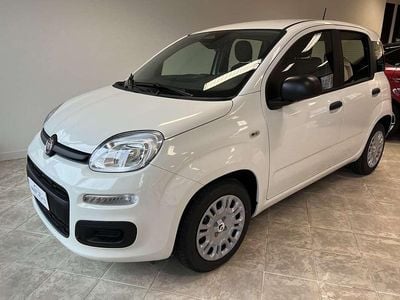 Nuova Fiat Panda Icon 65 CV (47 kW) 2025 Bianco Utilitaria