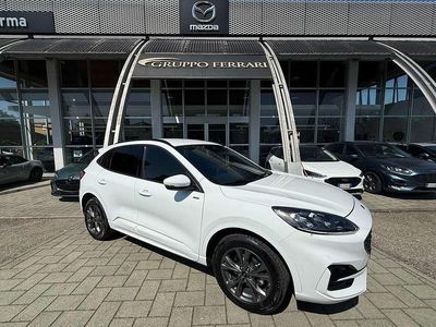 Occasion Ford Kuga ST-Line X 152 ch (111 kW) 2023 Other SUV