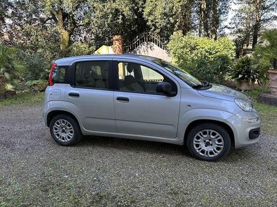 Usata Fiat Panda Easy 95 CV (69 kW) 2016 Argento Utilitaria