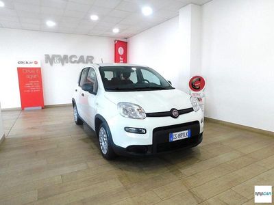 Usata Fiat Panda S 69 CV (50 kW) 2023 Bianco Utilitaria