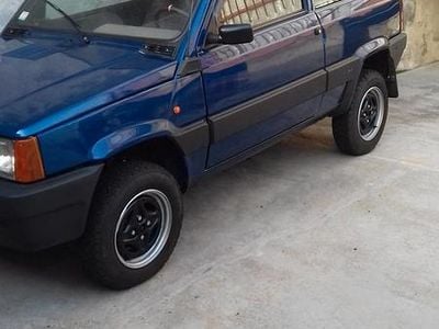 Usata Fiat Panda 4x4 Trekking 54 CV (39 kW) 2001 Utilitaria