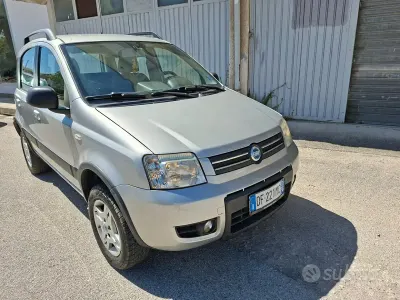 Usata Fiat Panda 4x4 Climbing 75 CV (55 kW) 2007 Grigio Utilitaria